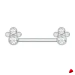 Barbell Travesti Bijou Corps Titane Zircon Filetage Interne - galerie