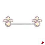 Barbell Travesti Bijou Corps Titane Zircon Filetage Interne - galerie