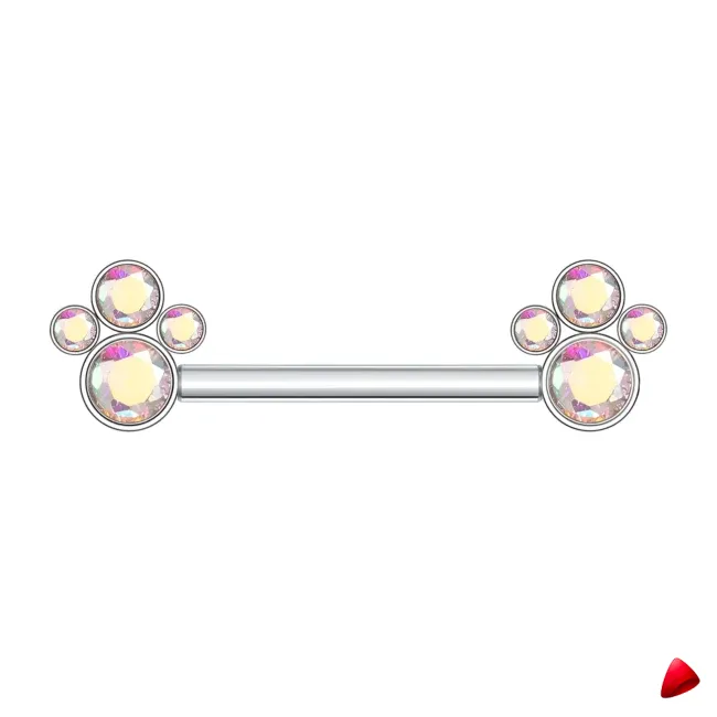 Barbell Travesti Bijou Corps Titane Zircon Filetage Interne - galerie