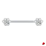 Barbell Travesti Bijou Corps Titane Zircon Filetage Interne - galerie