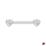 Barbell Travesti Bijou Corps Titane Zircon Filetage Interne - galerie